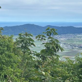 あの山は高館山かな。