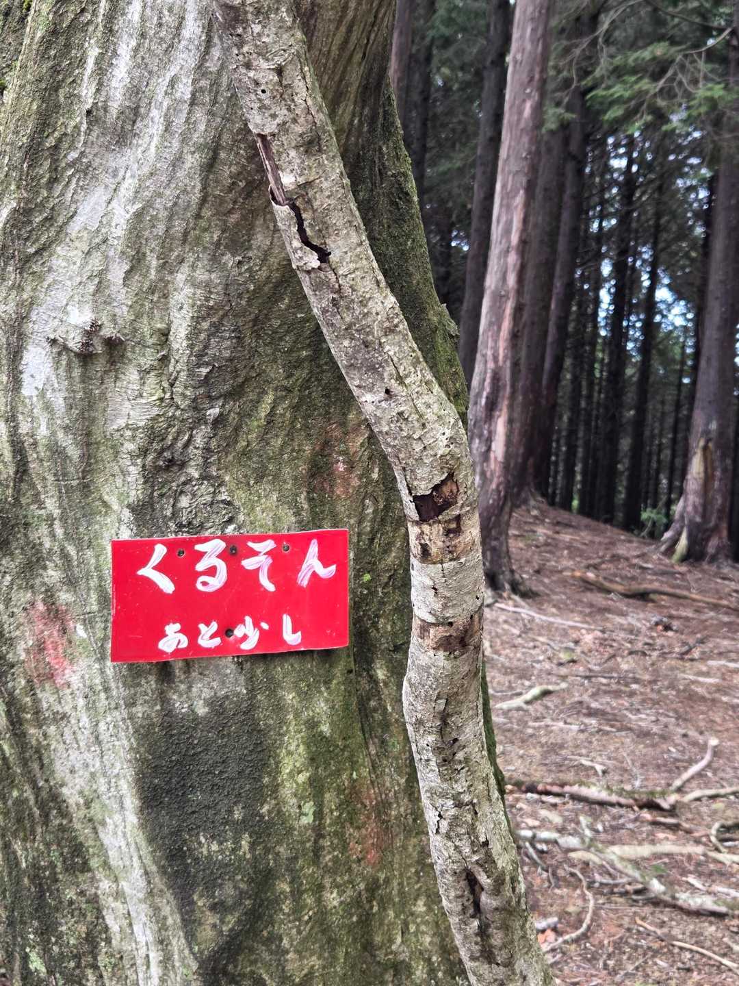 くるそんあと少し😁