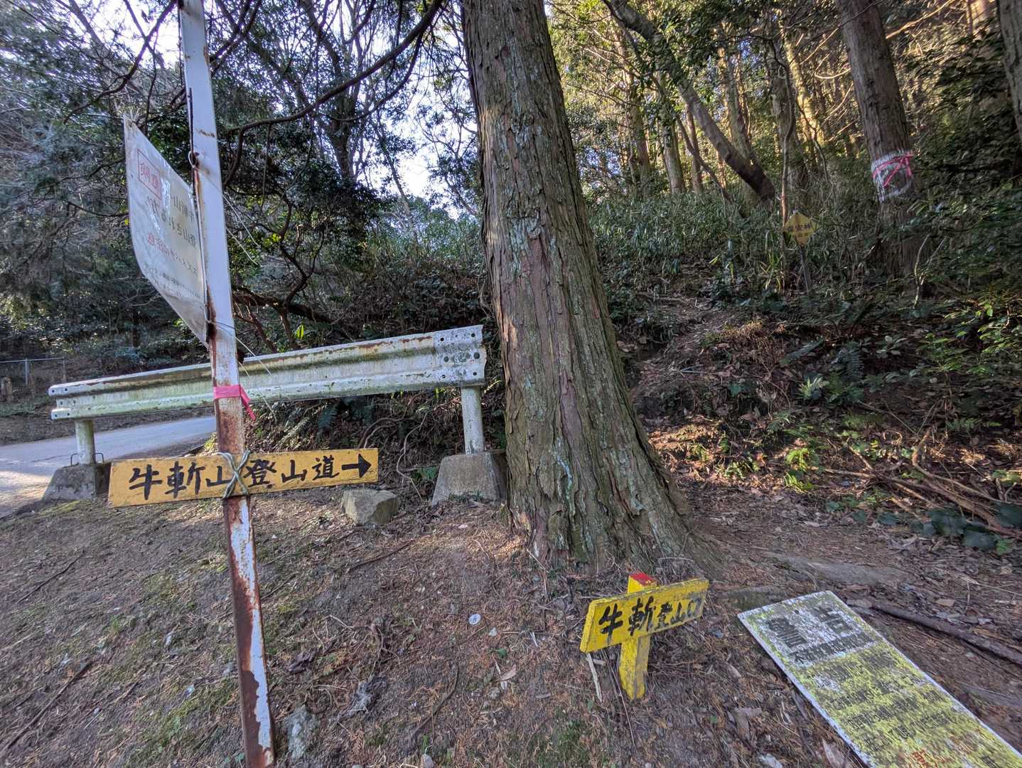 朝はのんびり起きて登山口へ。