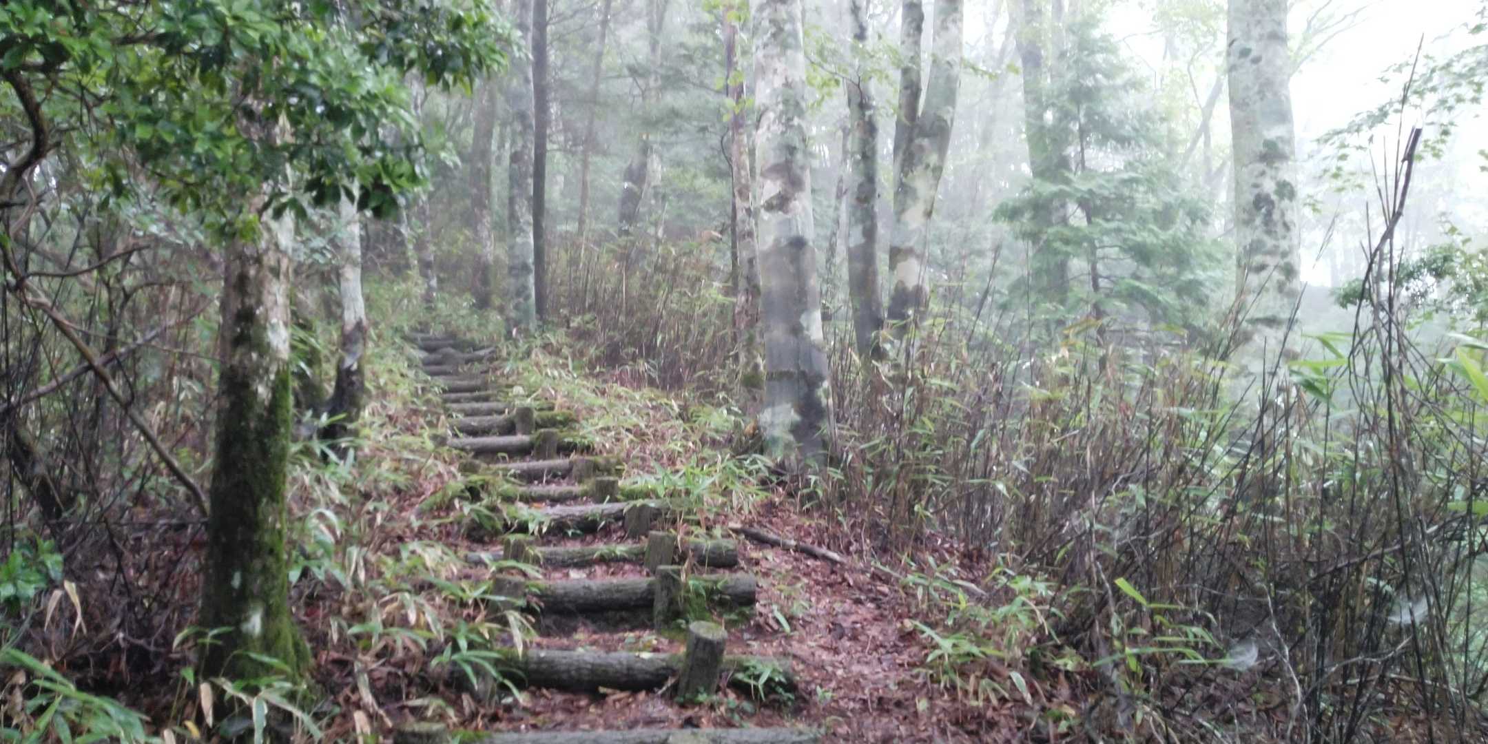 最後の登りですね～⤴️
ちょっと霞んできました‼️😨