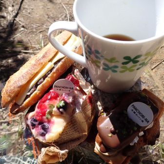 山頂で貸し切りダバダ～☕
まったり朝兼昼ごはん🥐
(追記) 時よりコガタスズメバチ🐝が単体で
　　   警戒飛行していました⚠️

下山も🌸サーチで🐂歩戦術

お目当てにも出会え、大満足の初登りでした🥳

↓↓↓  ここからは出会った💐等　↓↓↓