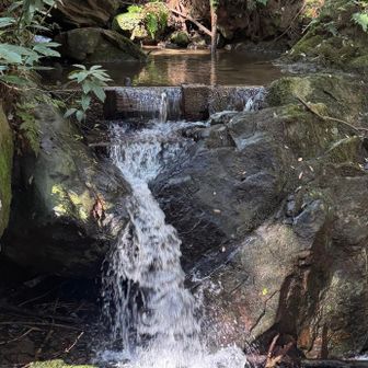ずっと沢沿いのコース
水の音に癒される(*˘︶˘*)