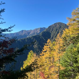 秋が深まってますね🍁