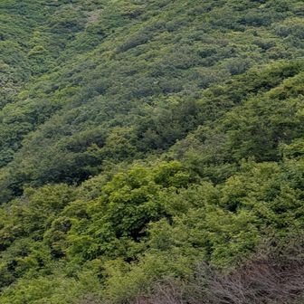 行きたかった
小屋が  あそこに😄