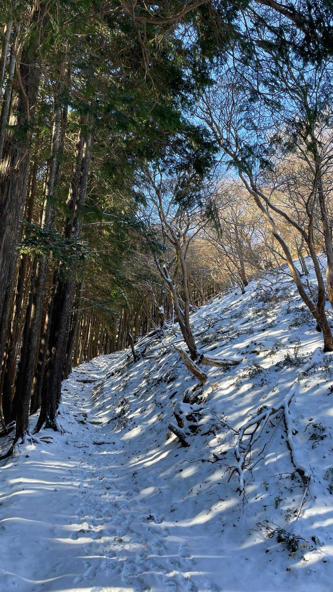 いつもの道も