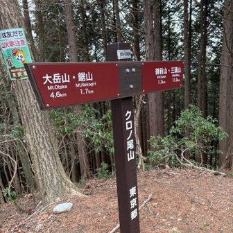 クロノ尾山
なんか、カタカナ多い！