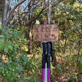 6つ目のピーク🥳