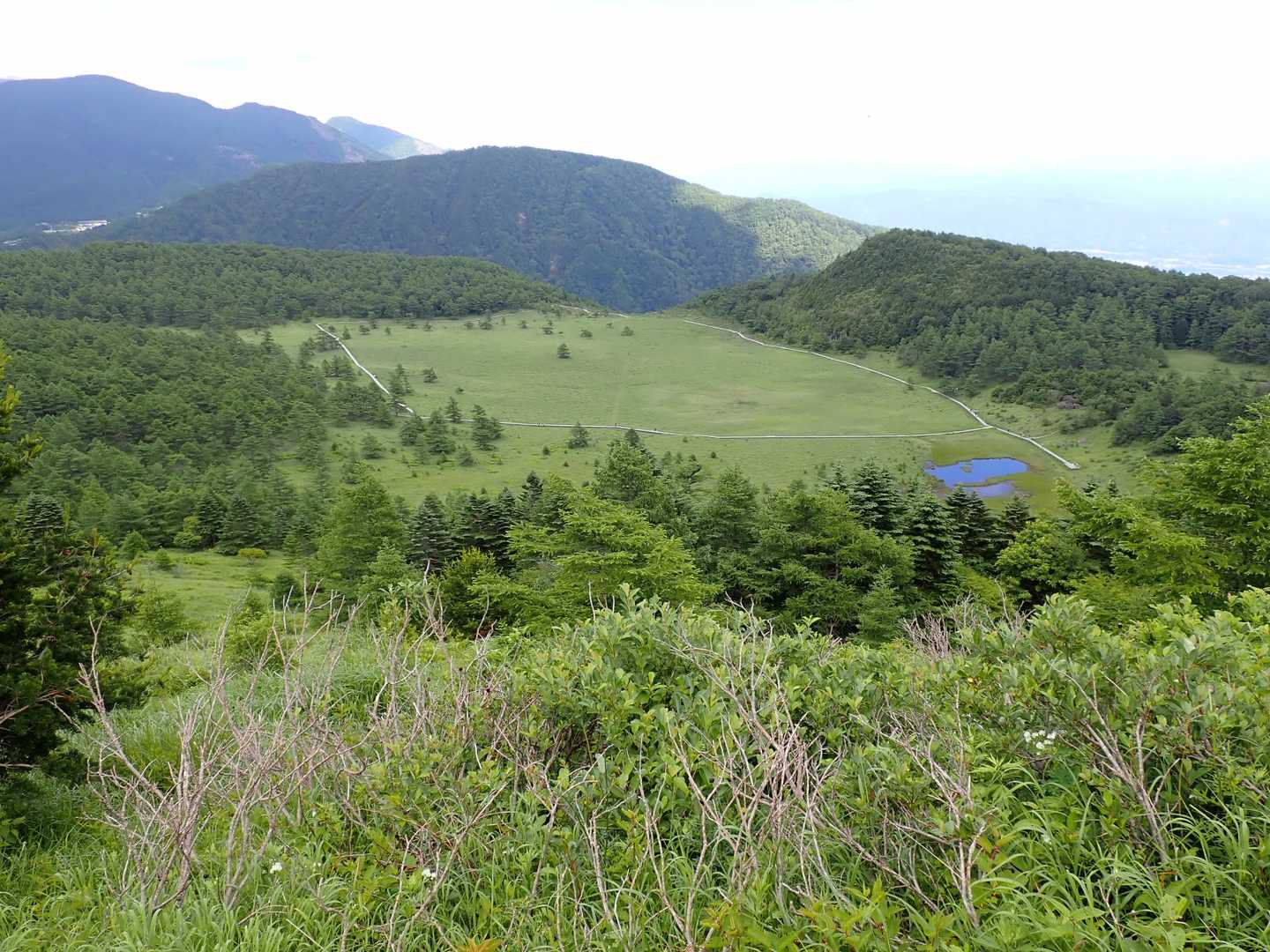 雷の丘から池の平湿原全貌