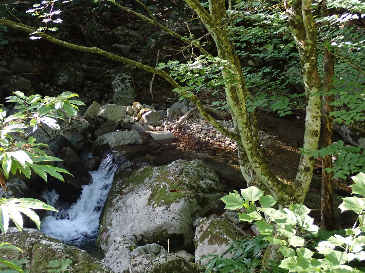 脇には沢が流れてて冷気が涼しい～～(´▽｀*)