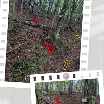 大穴山の看板あり（小さい）　頂上は すぐそこなので、行ってみよう
※ 黄色矢印が[コース] 、 赤色矢印は[寄り道]と色で分けている