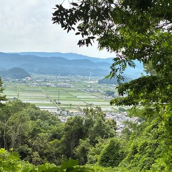 面影山の山頂に到着。