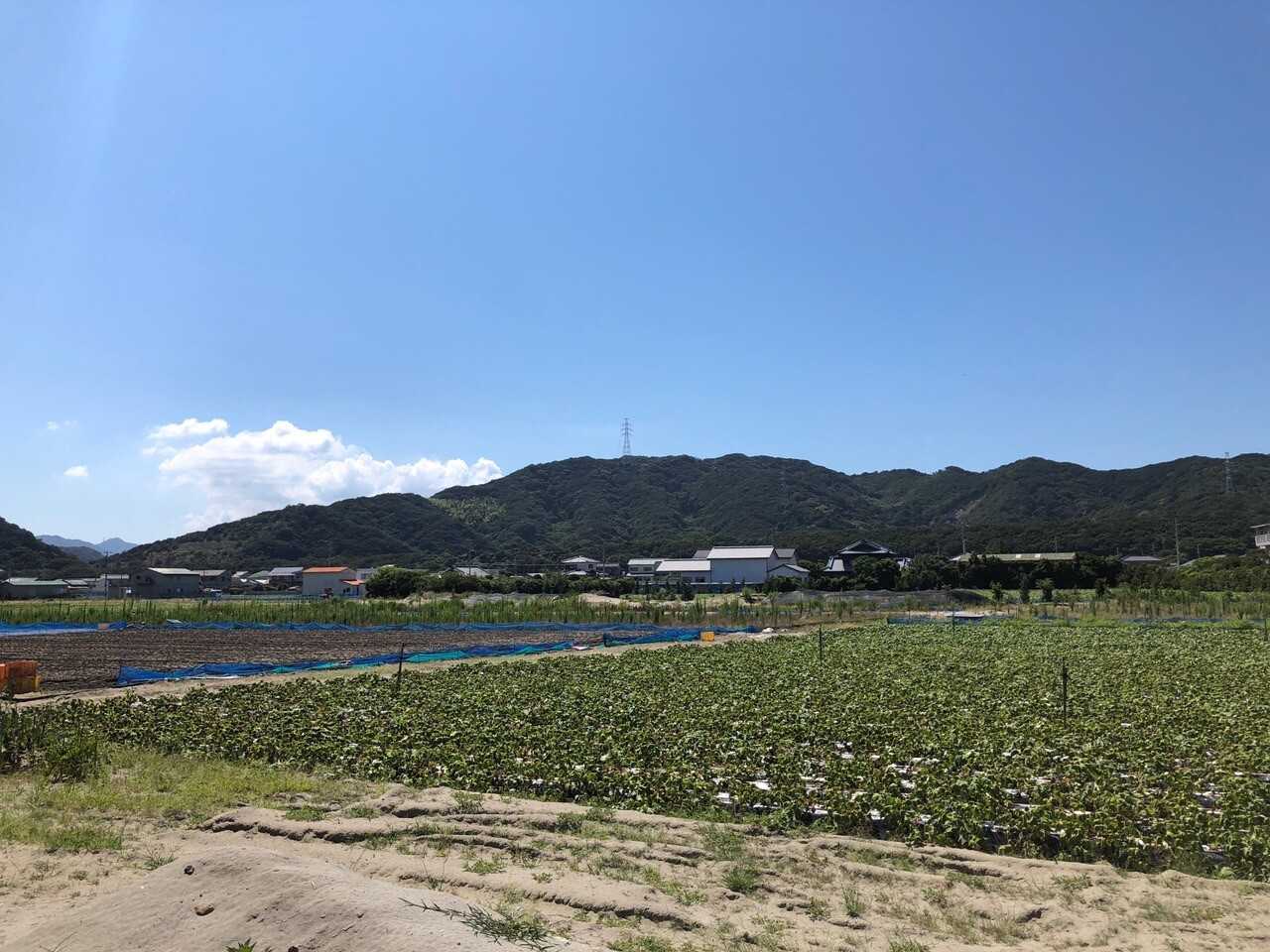 大毛山の写真