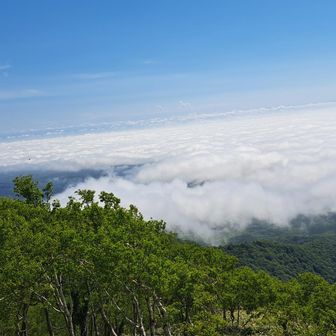 雲海？