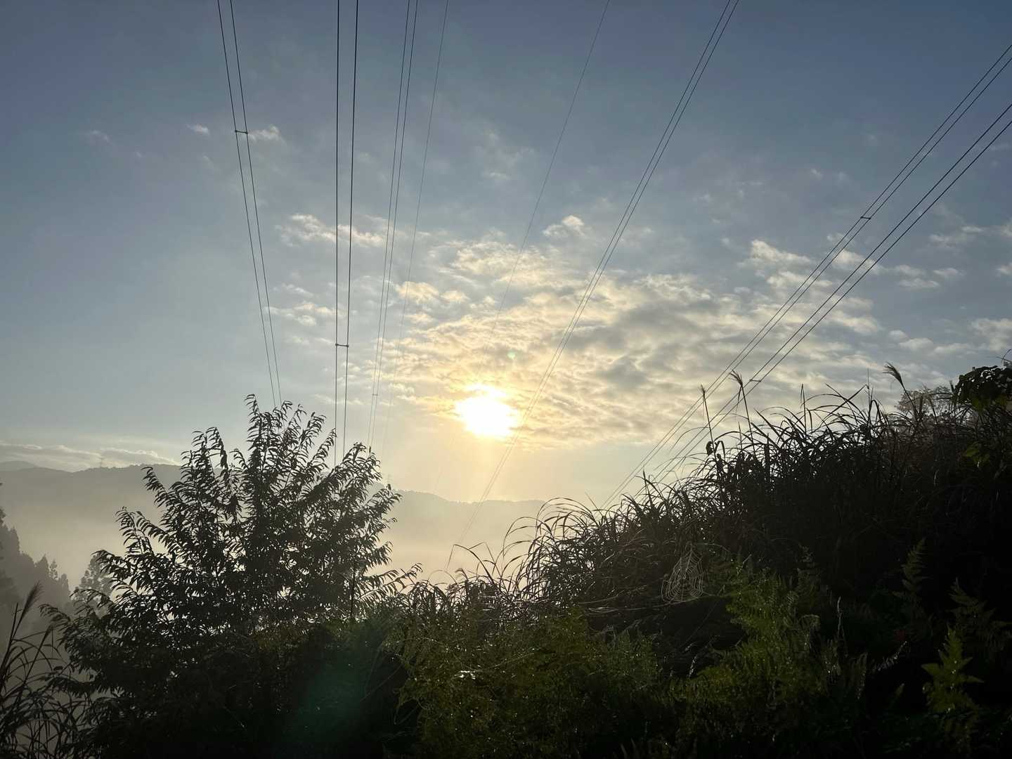 少し登ると霧が晴れてきた。