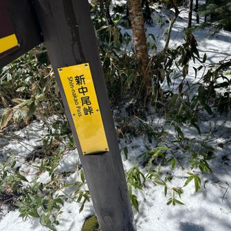 新中尾峠の分岐
ここから穂高へ縦走する事ができるが今回はこのまま下山します。
