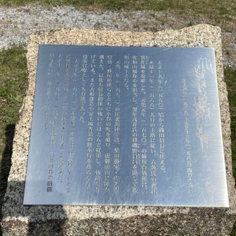 NHK大河ドラマでも出ていらっしゃいます
姉川の戦い後に、佐和山城も攻めていたのですね
織田信長さんにとって重要な家臣ですね