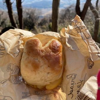 うさぎ型ベーグル🥯は
りんご🍎シナモン・カッテージチーズをはさみました〜♪

ほんとは顔描きたかったんだけどねー😆