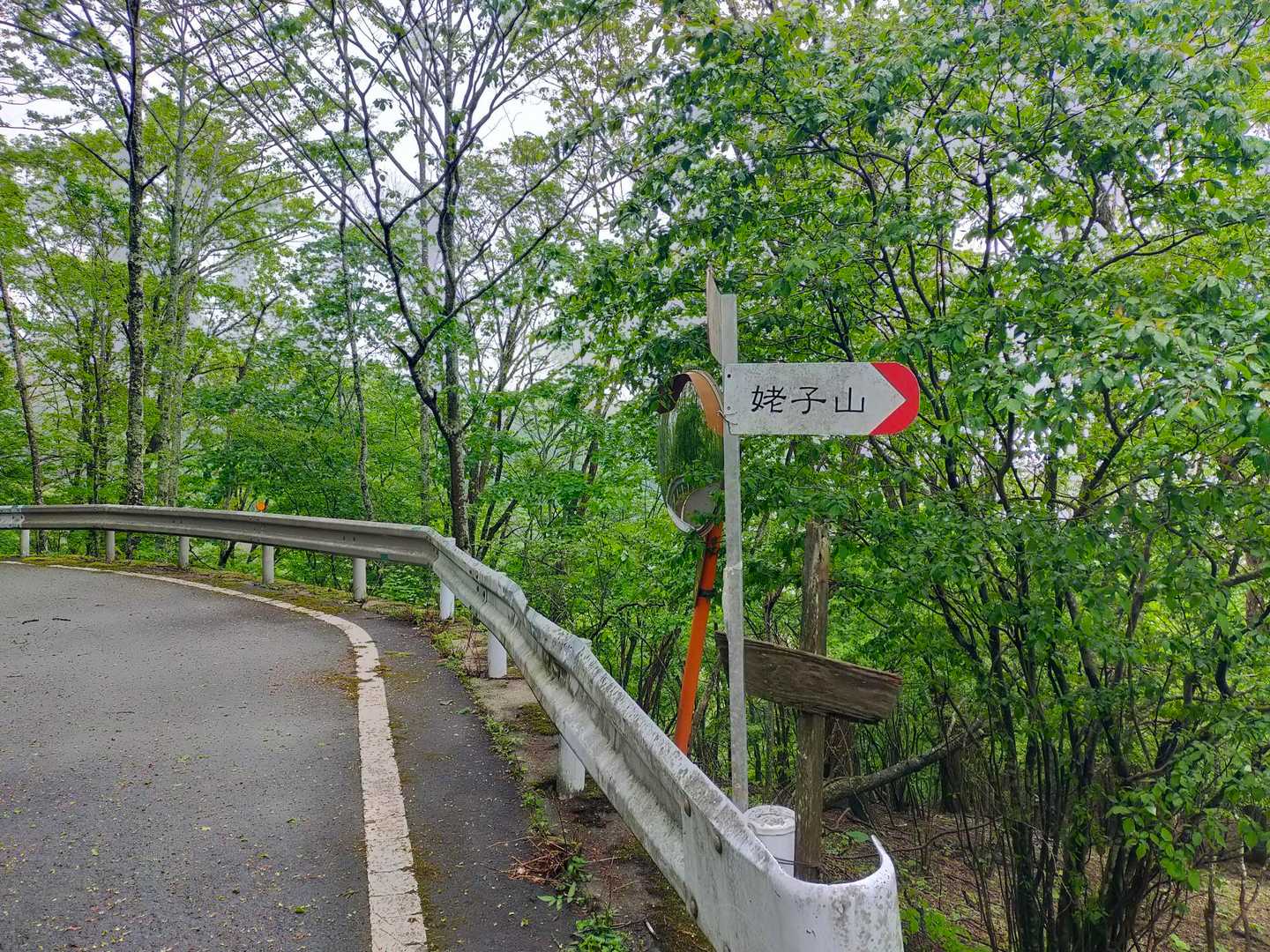 雁ヶ腹摺山から姥子山へ向かいます。
途中、道路を横断。
一般車も通行できるのかな？