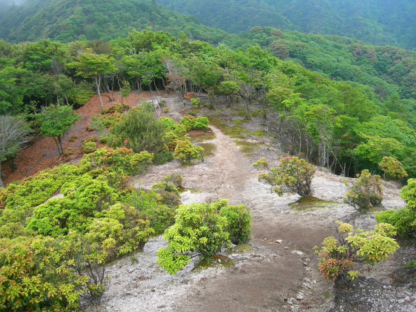 石榑峠-三池岳-八風峠-北仙香山-中峠 往復コースの写真