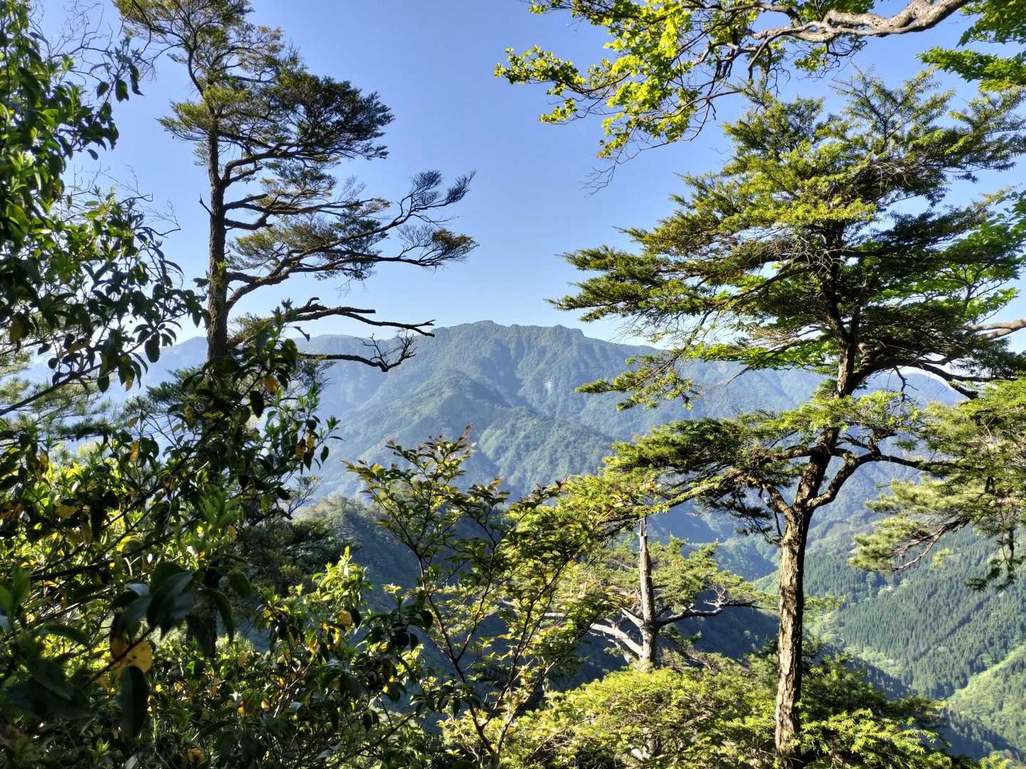 隙間眺望、五葉岳だ😆