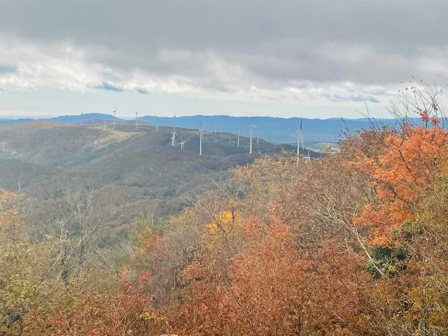 高塚山-大滝根山 周回コースの写真
