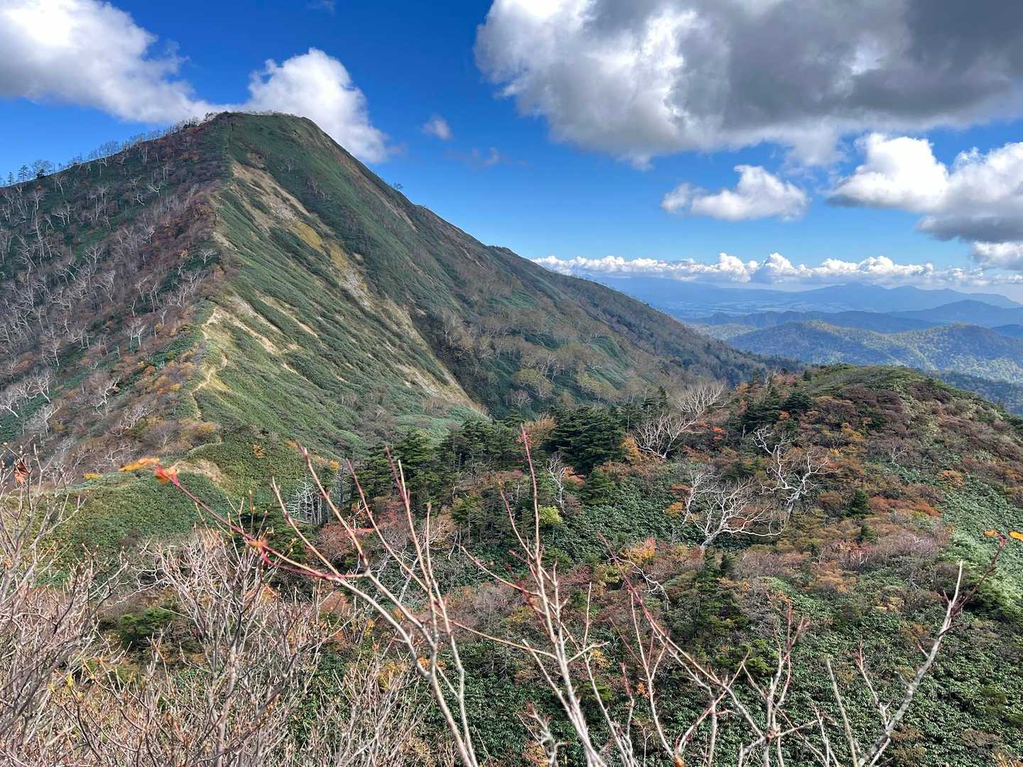30分弱でもうこんなに山頂が遠くなってる！