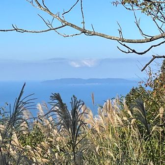 展望台の横から粟島が見えました
でも、佐渡ヶ島は見えず。。。
残念だけどこれで下山します
