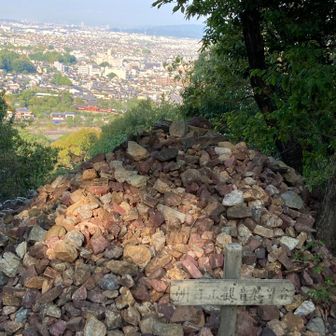 朝日山観音から望む