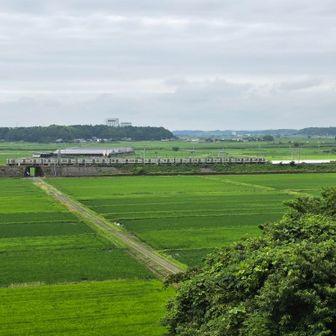 東山から