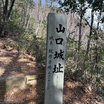 500m先に山口城跡があるらしい🏯