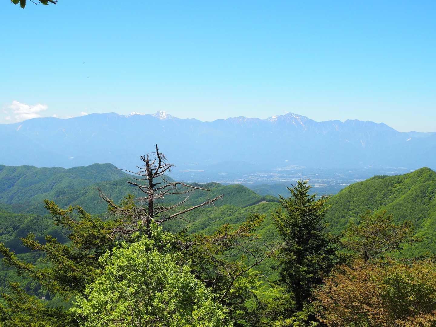【JAPAN TRAIL】奥秩父連山登山道⑥（黒森 - 清里）の写真