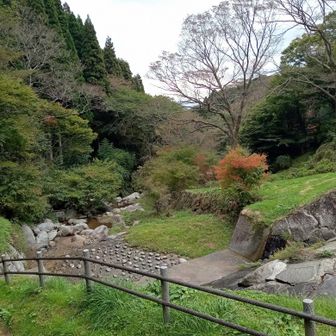 秋の気配を感じながら川沿いを下ります。
