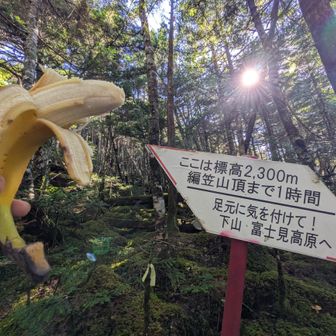 標高2300m
山頂まで１時間💪
ちょっと一休み🍌