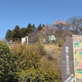 結構混雑してましたねー