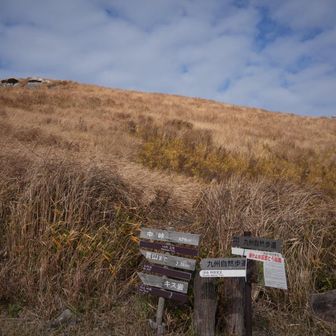 ここから岩山へ。