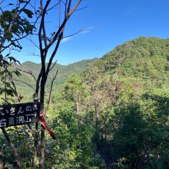 東洞山から下りて来て、分岐から北山へ。