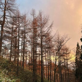 🥹🫶🏼　

ティータイムしたくなる風景🫖