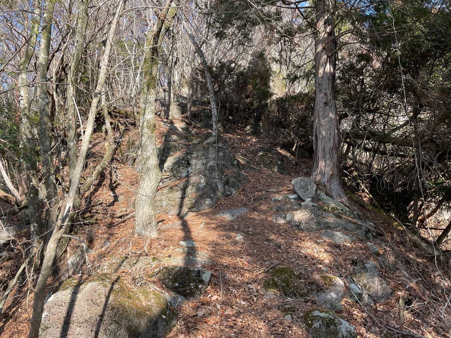 釣鐘山（大分県）の写真