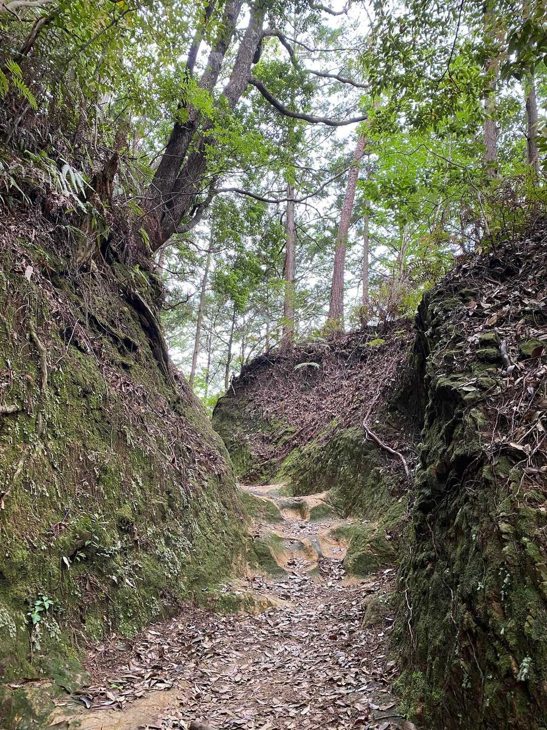 大日越の写真
