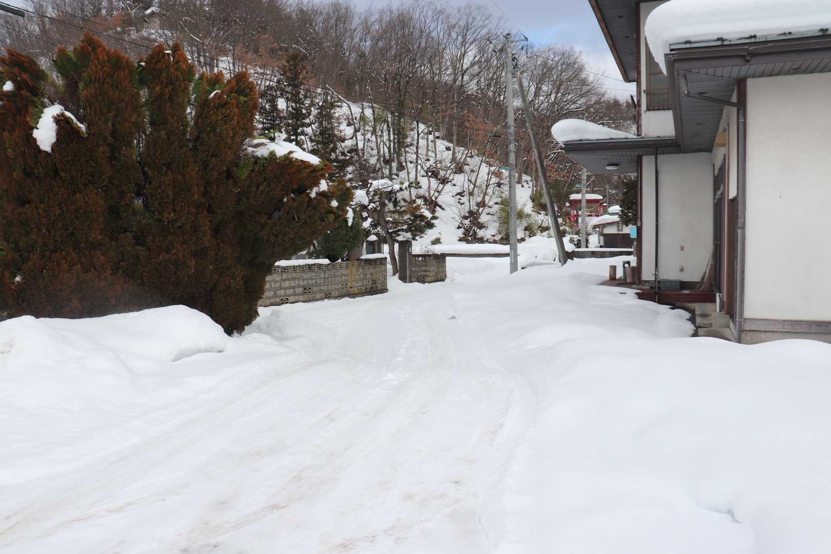 冬季限定（ここは段差がある）