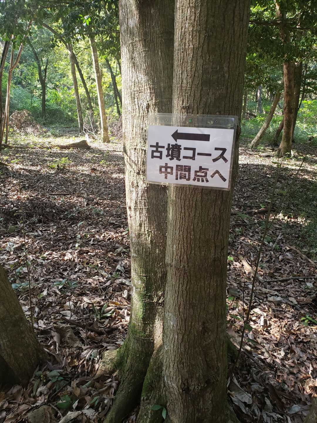 野村山-野村坂-大谷山 周回コースの写真