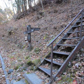 この道ノ先に赤石岳😆