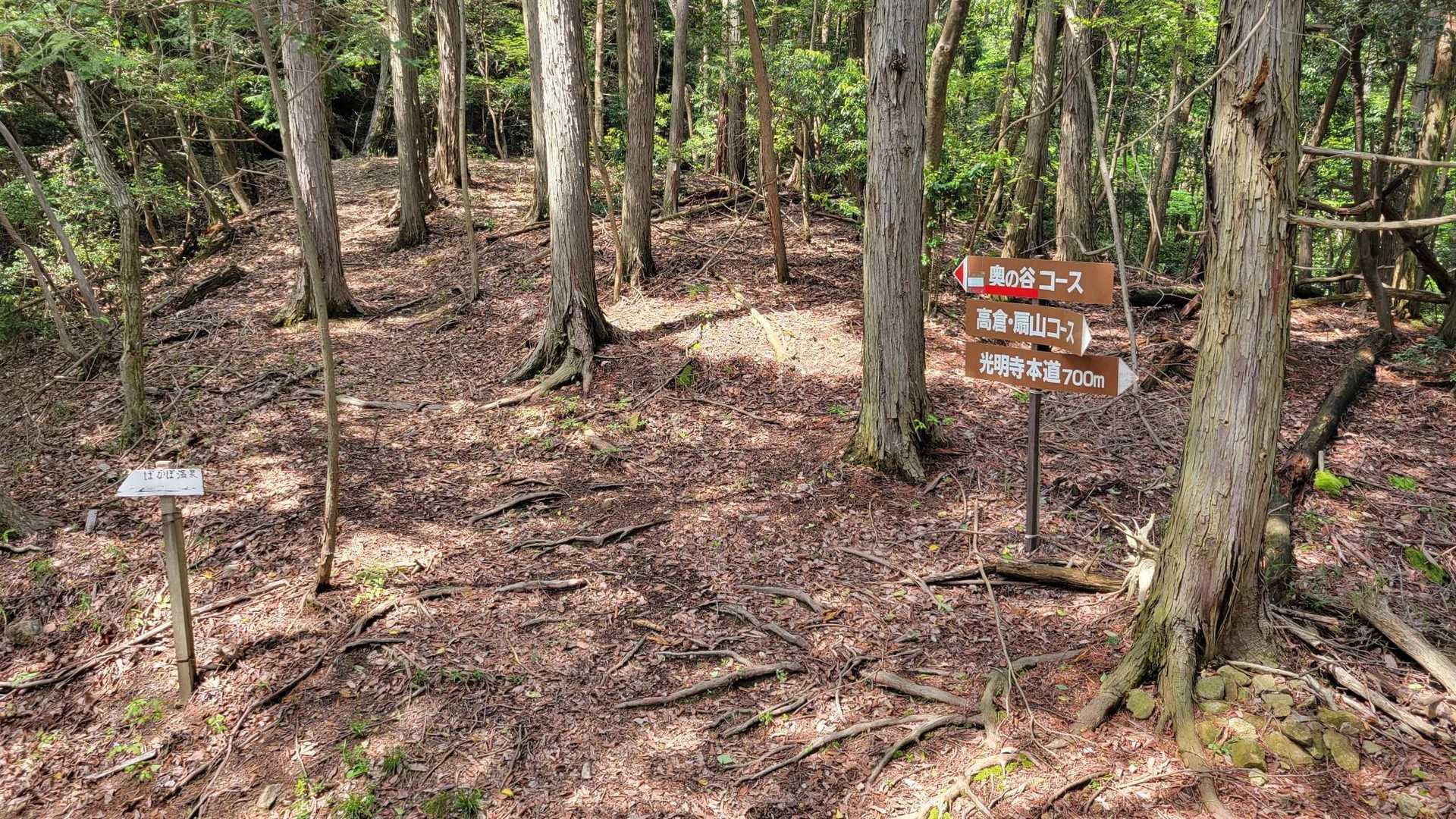 何処まで行けるかか分かりません。
しんどくなったら止めて戻るつもりで角尾山を目指してLet's Go❗
