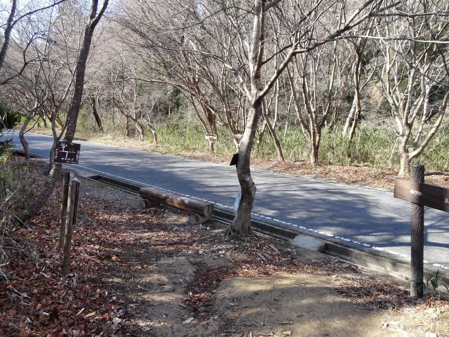 一旦、道路へ出ます。