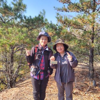 記念写真を撮ってもらった初登山のお兄さん達とずっと前後して歩きました