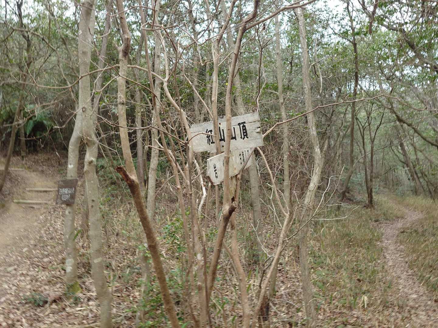 左か山頂、右が古墳
この時間から古墳は怖いから行きません