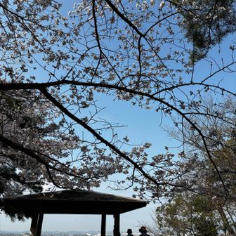 大吉山ピーク手前の展望台