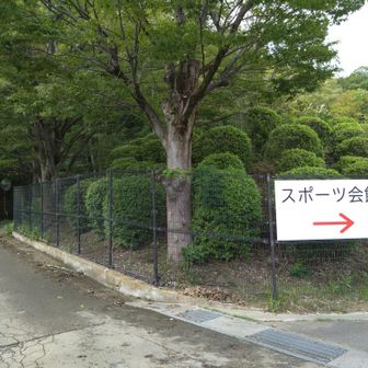 スポーツ公園の駐車場に停めさせていただきます