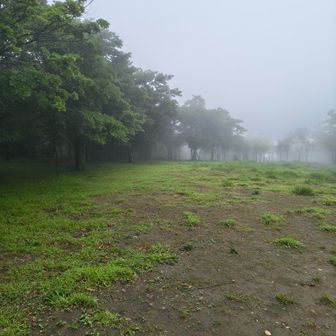 広いと安心する派？不安になる派？私は、時と場合による