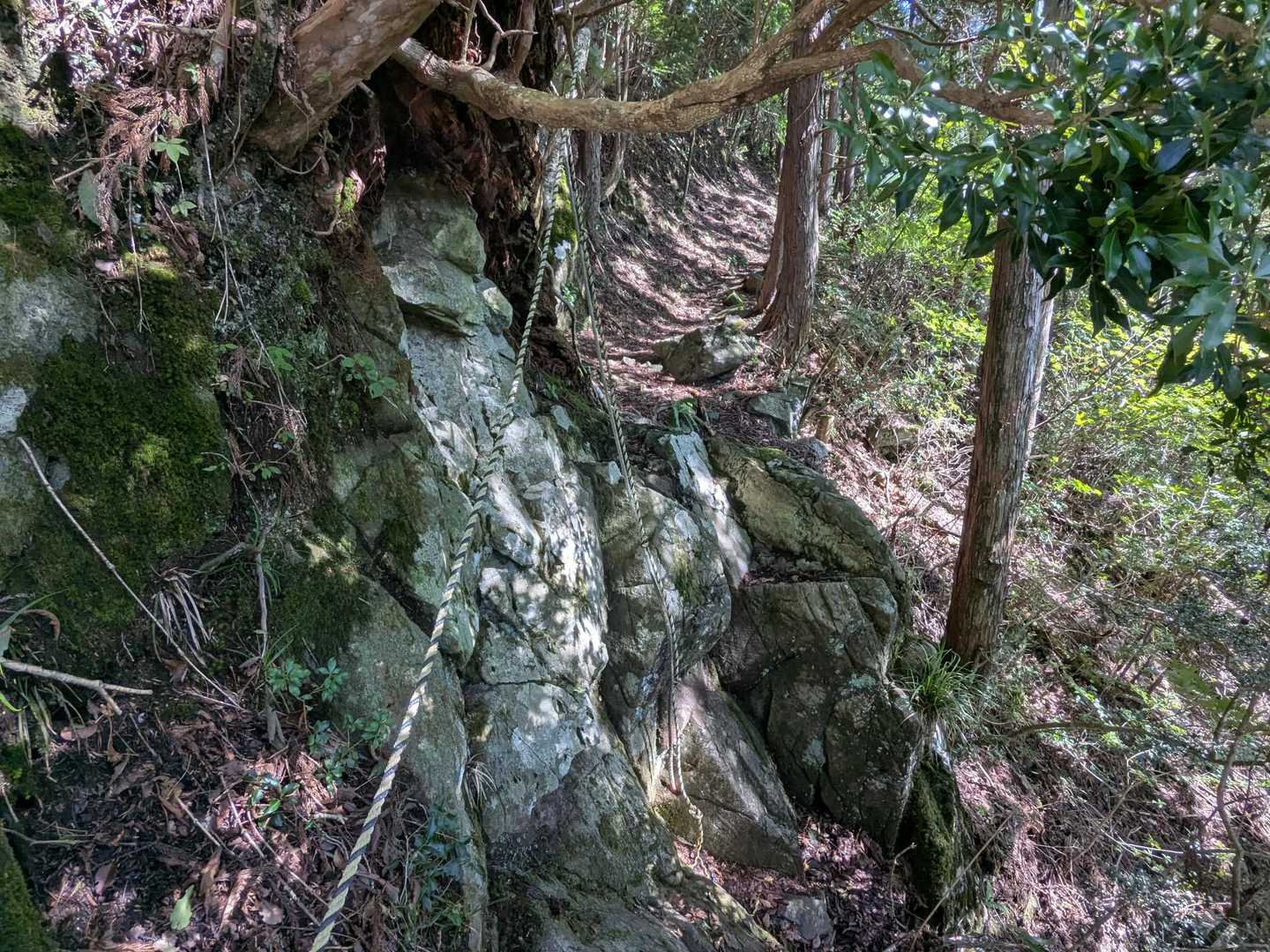最初急登でその後は峨蔵越までほぼほぼ緩やかです。

この岩場を渡る所はちょっと怖かった😅
